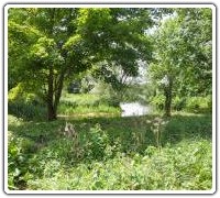 Adair Walk